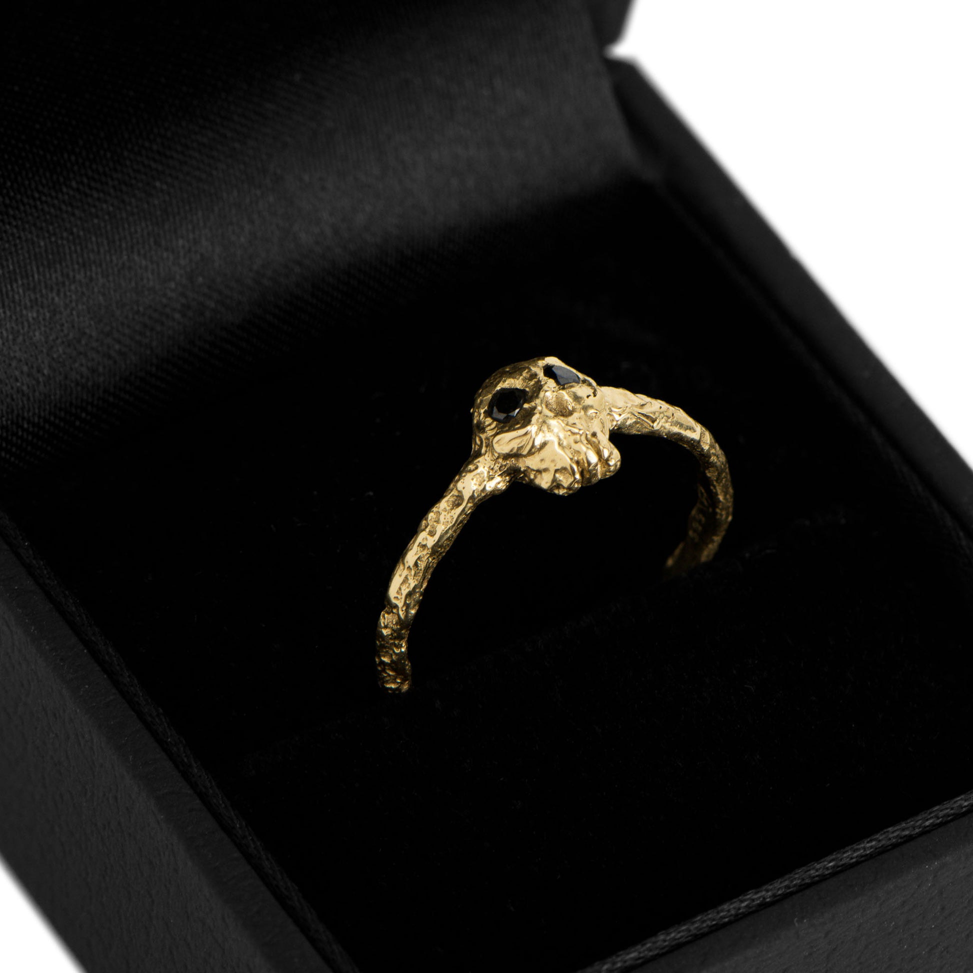 Skull
